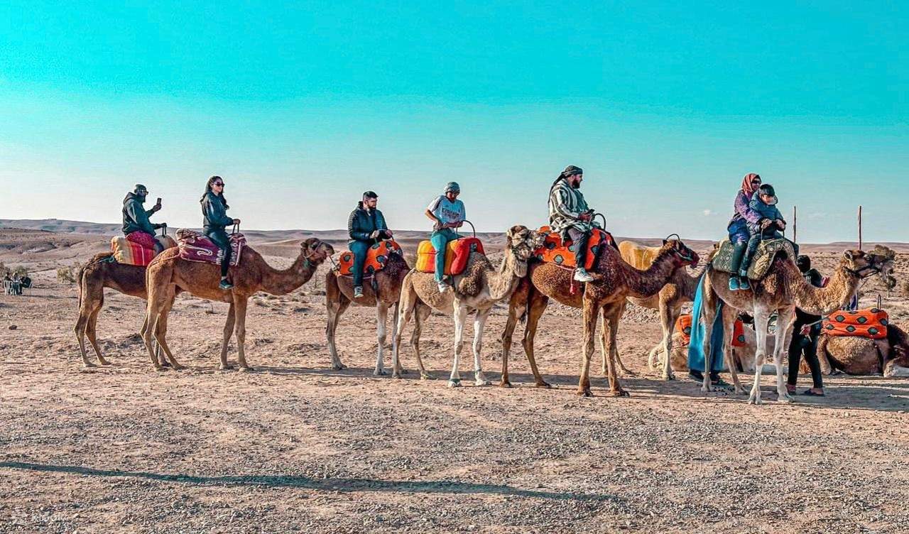 아가페이 사막 어드벤처: 쿼드 바이크, 낙타 타기 & 디너 쇼