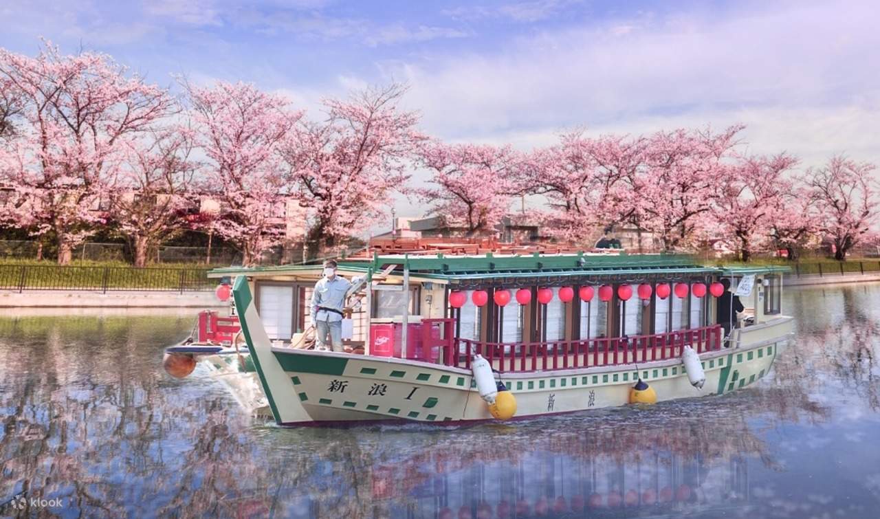 Tokyo Cherry Blossom Cruise & Traditional Shamisen Performance & Optional Lunch/Dinner/Afternoon Tea & Complimentary Soft Drinks