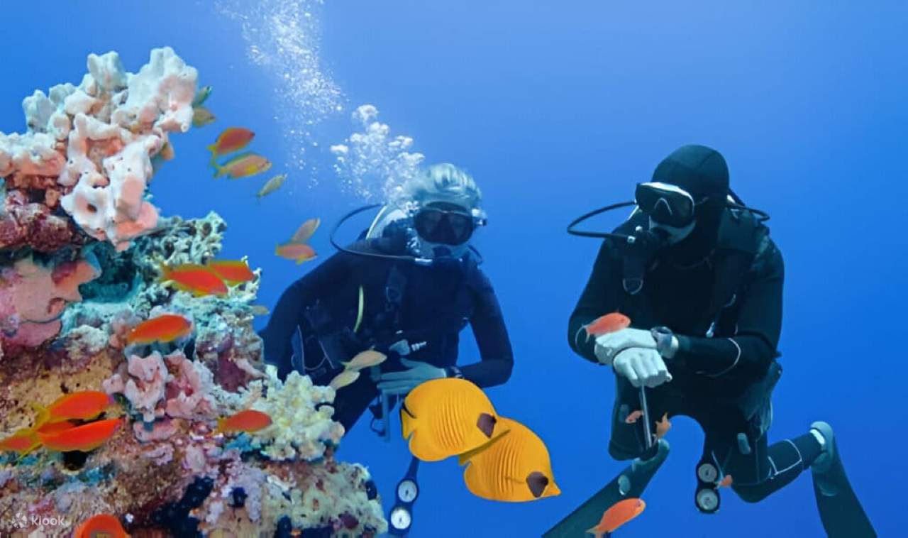 PADI Tauchkurs Open Water in 3 Tagen - Hurghada