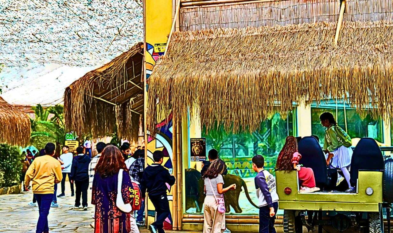 Billet pour le zoo Lion Park Istanbul