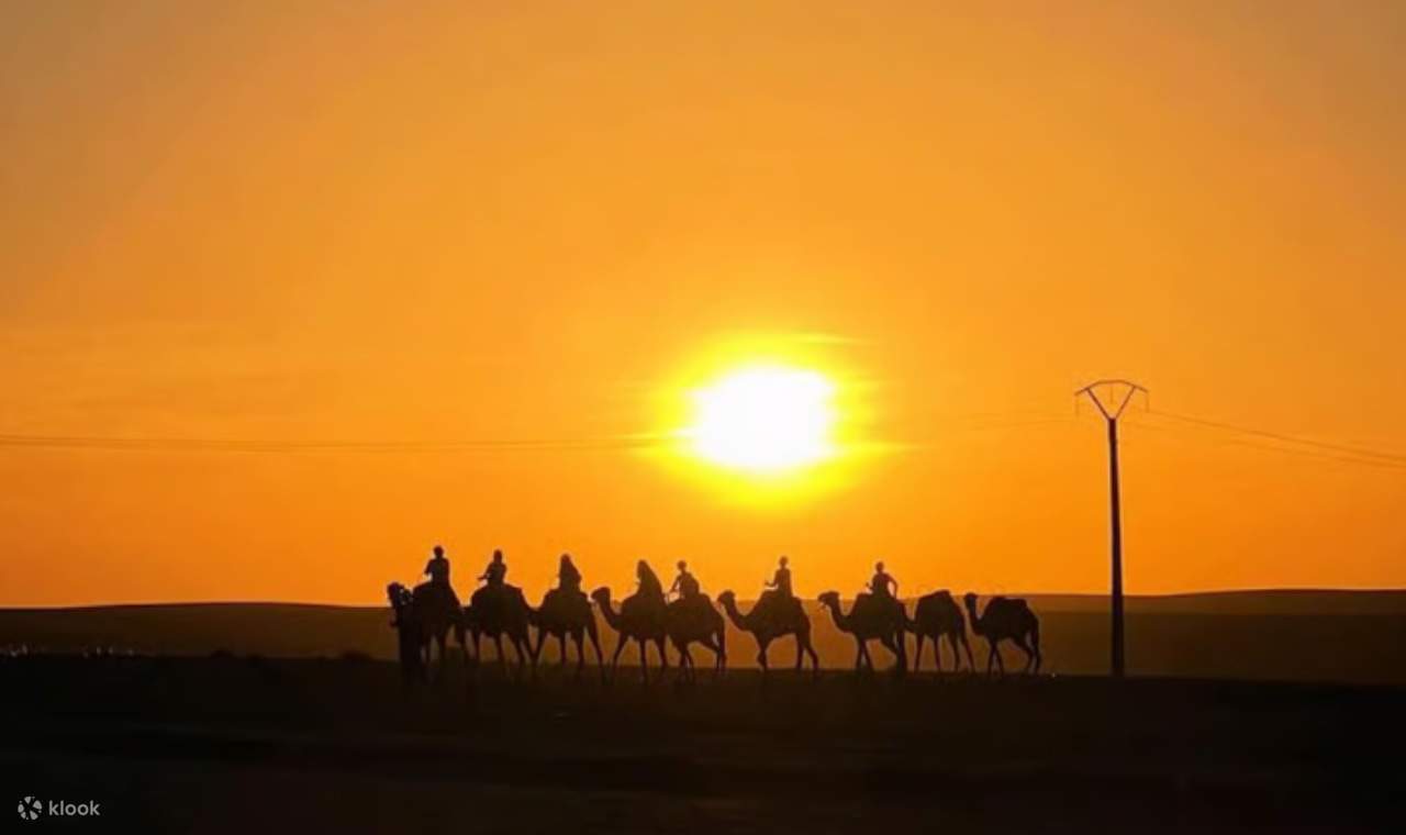 Desert Adventure Quad Biking Camel Riding & Dinner Show in Agafay