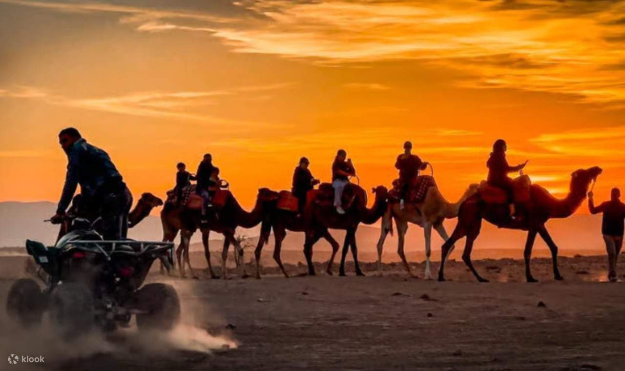 Desert Adventure Quad Biking Camel Riding & Dinner Show in Agafay