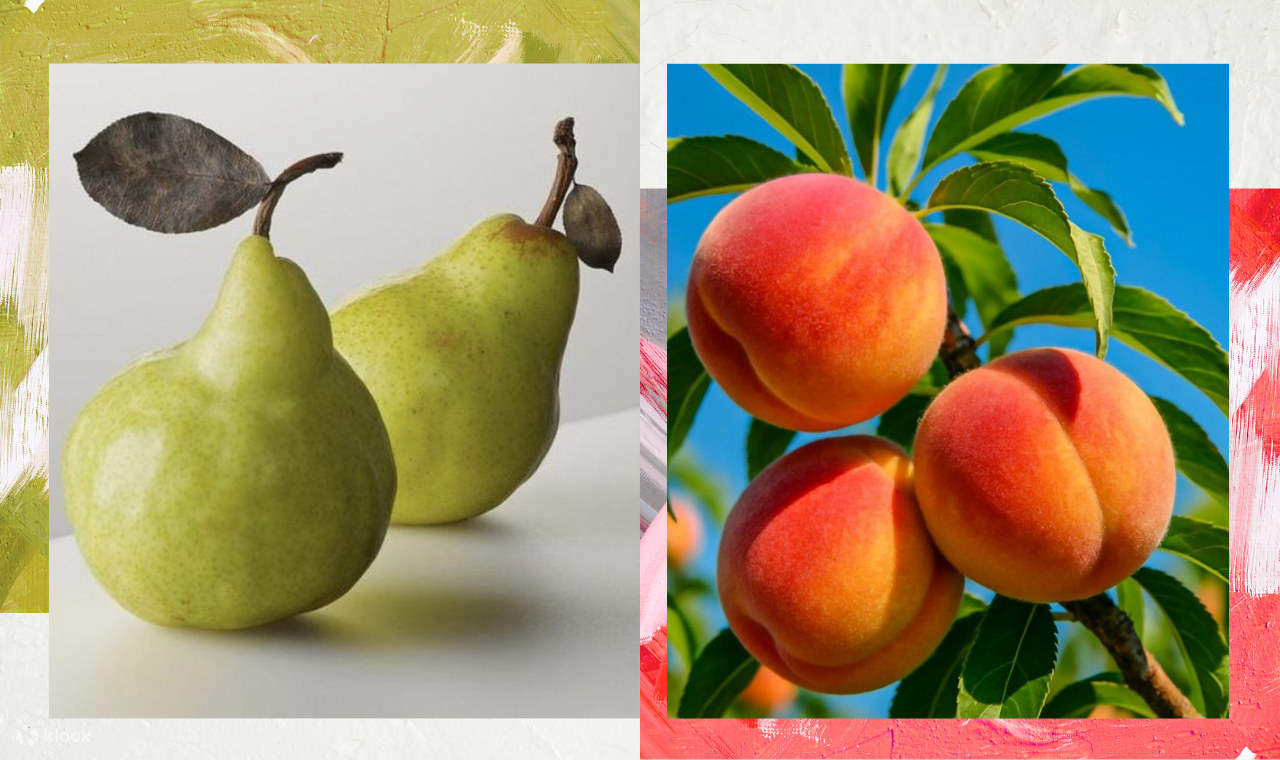 We Art 靜物繪畫工作坊