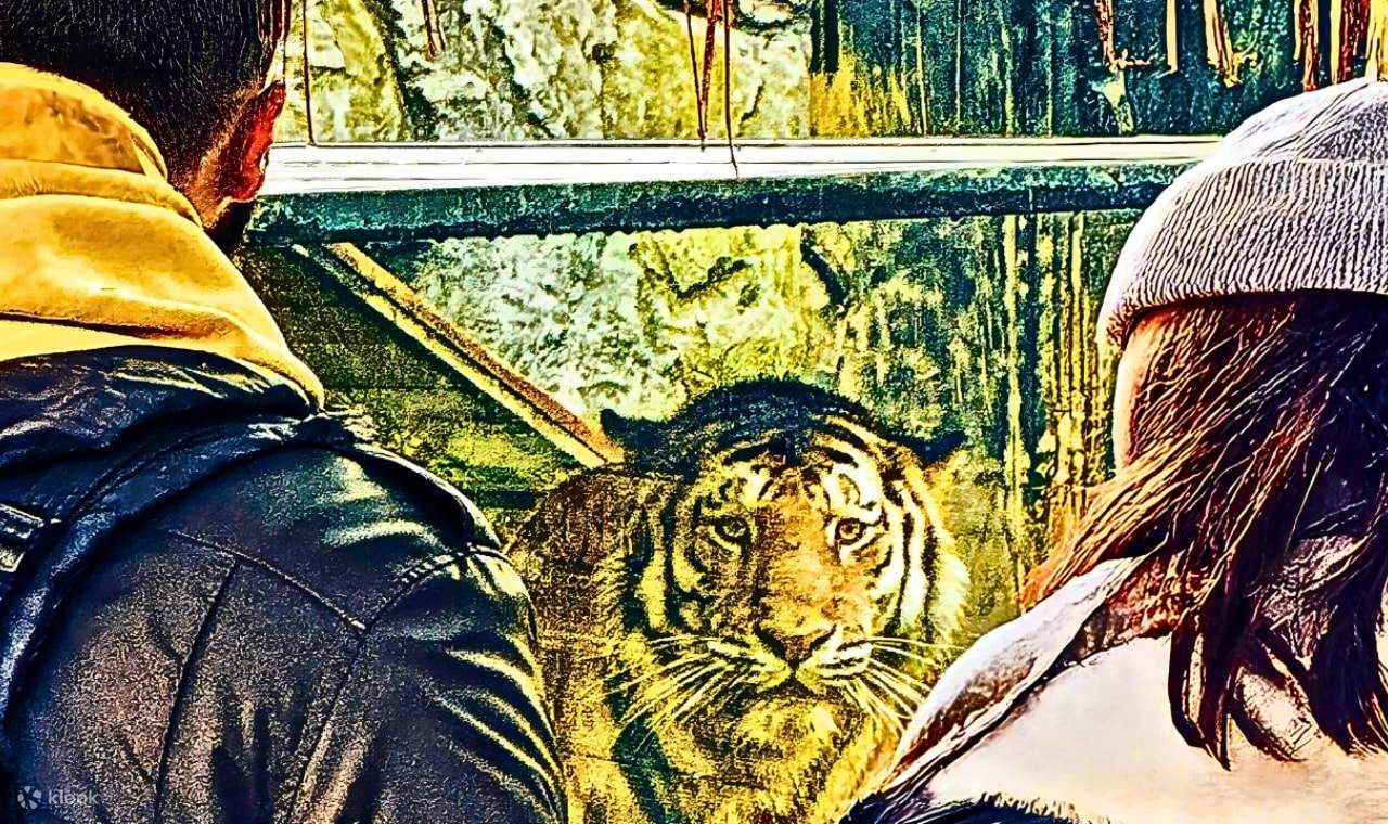 บัตรสวนสัตว์ไลอ้อนพาร์ค อิสตันบูล