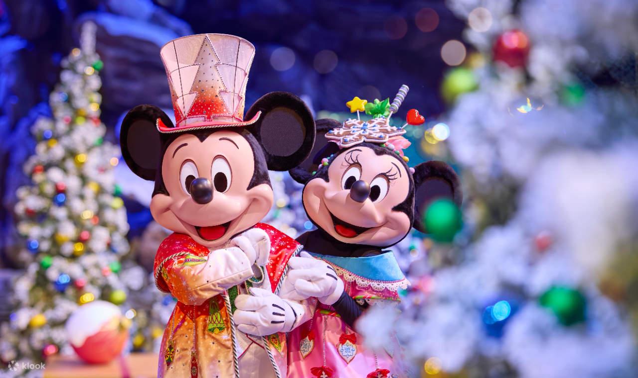 Biglietto per il parco a tema Disneyland Paris con trasferimento di andata e ritorno