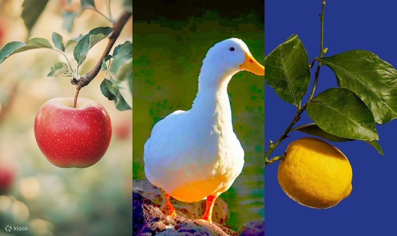 Taller de pintura de bodegones por We Art