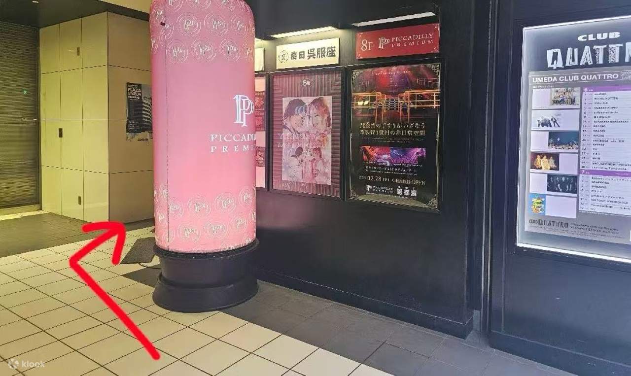 Osaka: Biglietto per PICCADILLY PREMIUM Live Show & Nightclub