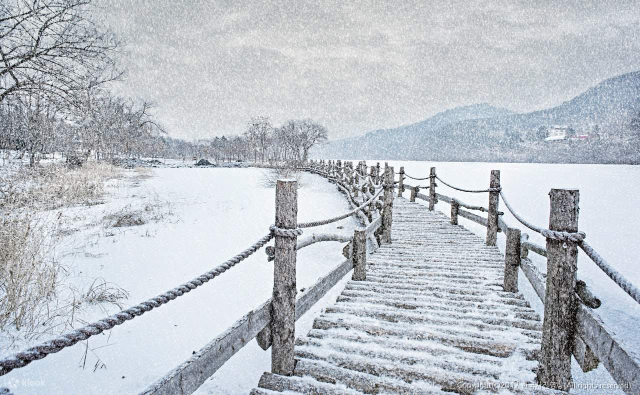 บัตรกำนัลห้องพักที่โรงแรมจองกวันรู นามิซอน