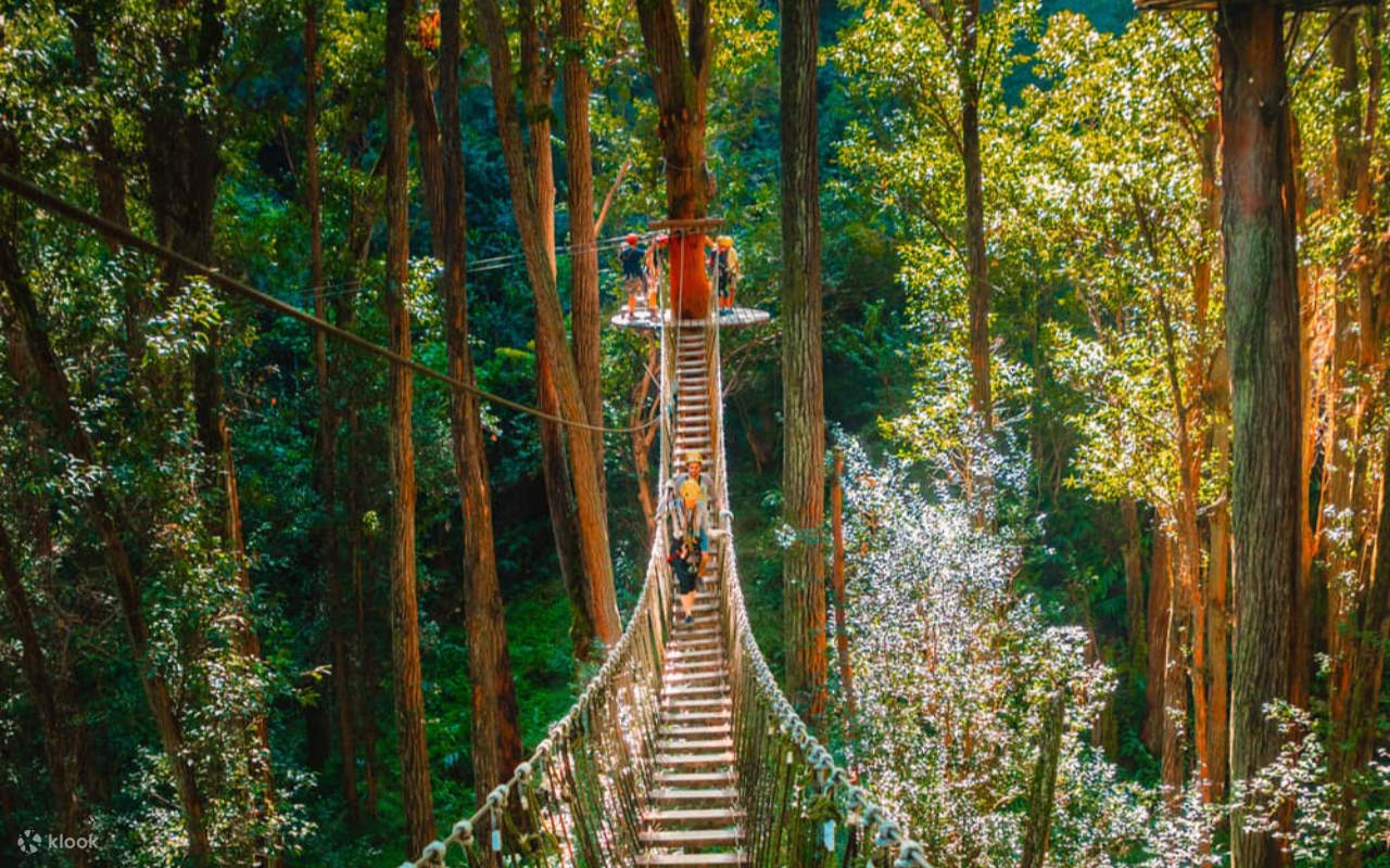 在熱帶雨林與瀑布的環繞下，體驗高空滑索和搖擺吊橋帶來的刺激快感！