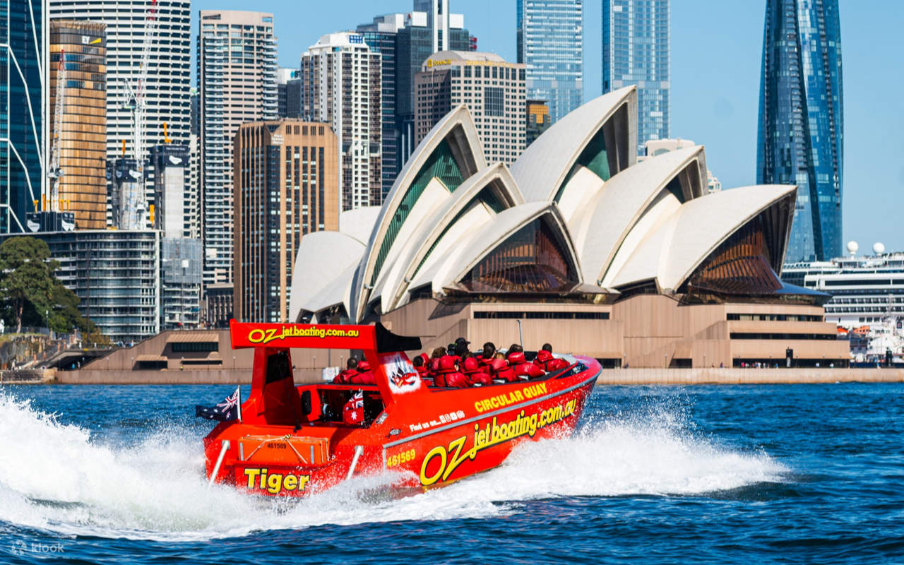 Provate il divertimento del jet boating ad alta velocità con uno scenario costiero epico, perfetto per foto e video
