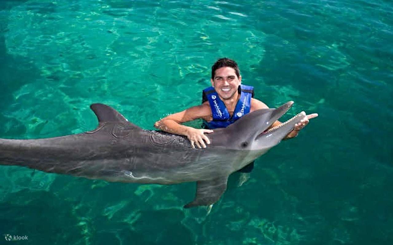 Experiencia de nado con delfines en Delphinus Xcaret - Klook España