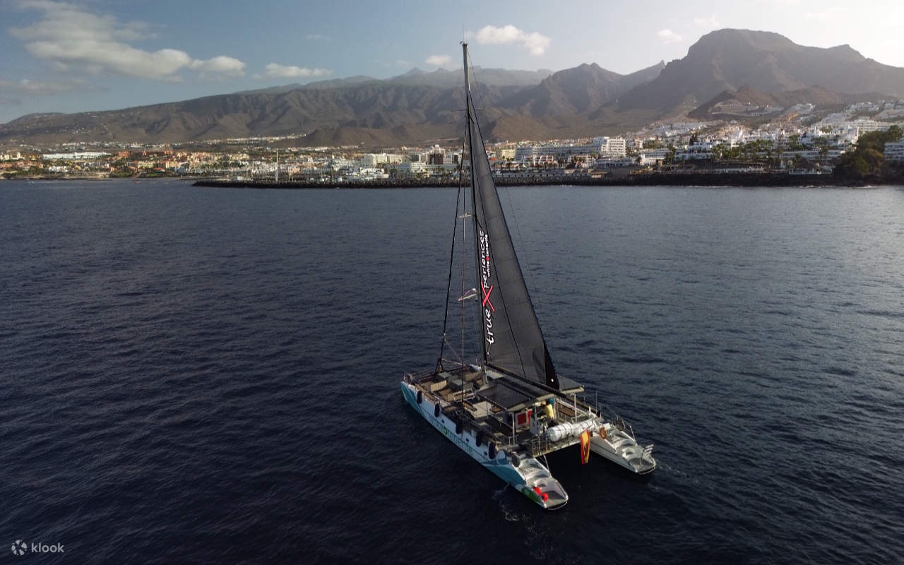 Полюбуйтесь возвышающимися скалами Лос-Гигантес, эффектно поднимающимися над спокойной береговой линией острова.