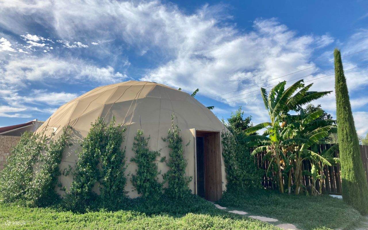 이비사 생명공학 식물원 투어