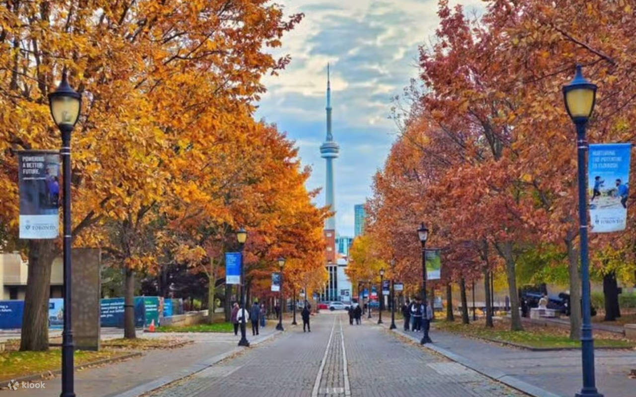 Toronto Photo Lab Private 2-Hour Photoshoot with a Pro Photographer in Toronto - Klook ...