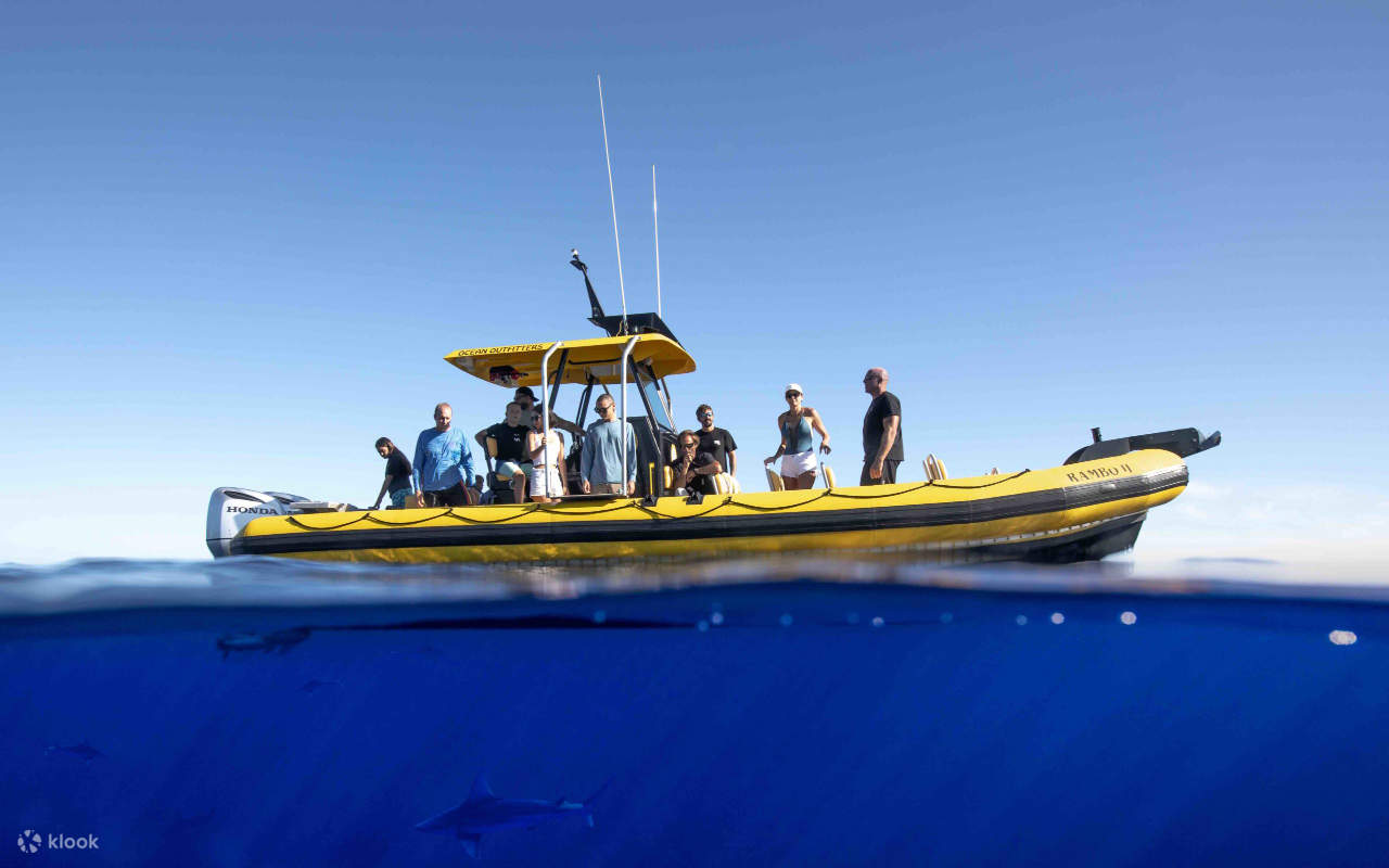 Meluncur melintasi perairan sebening kristal dan saksikan kehidupan laut Hawaii yang luar biasa beraksi