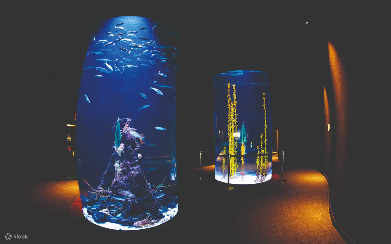 อาคารพิพิธภัณฑ์สัตว์น้ำ Poema del Mar