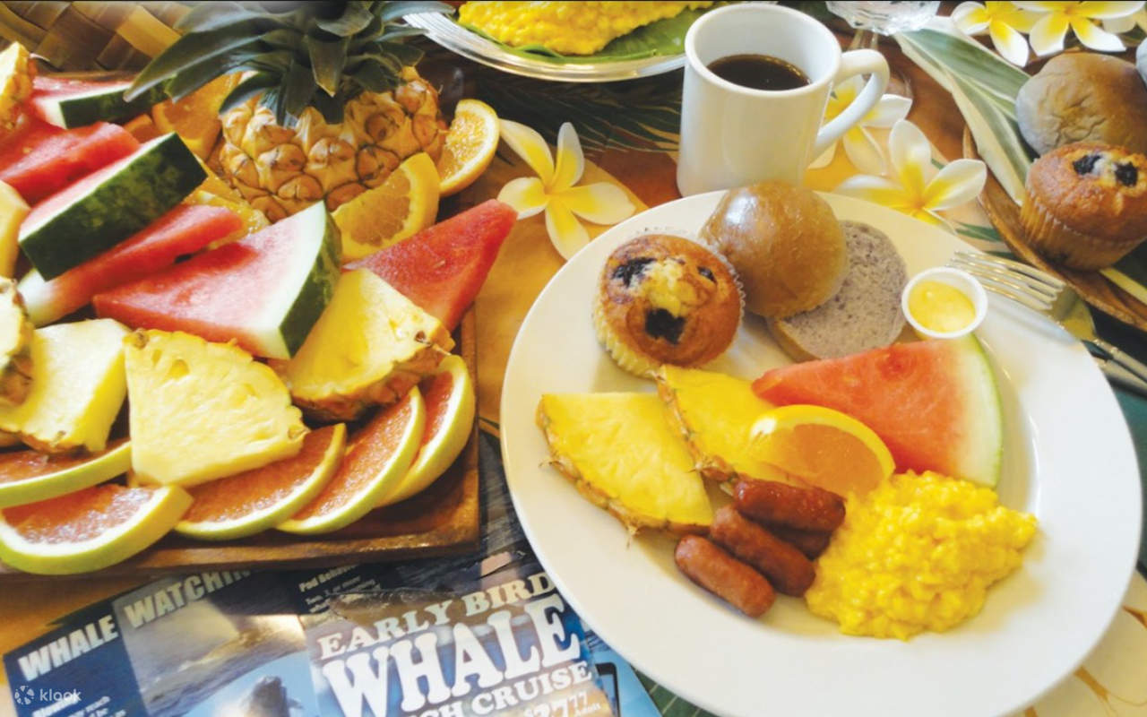 Du thuyền ngắm cá voi Oahu