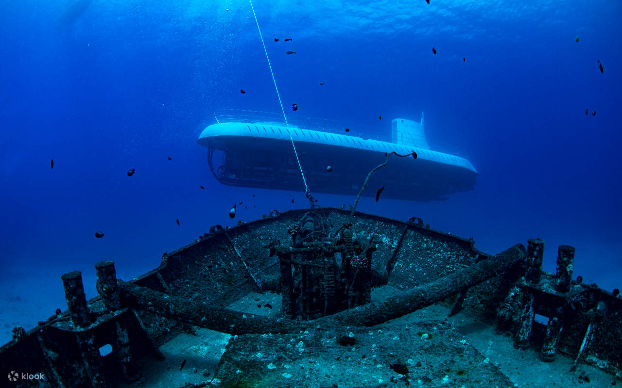 Atlantis Submarine Maui Experience - Klook Australia