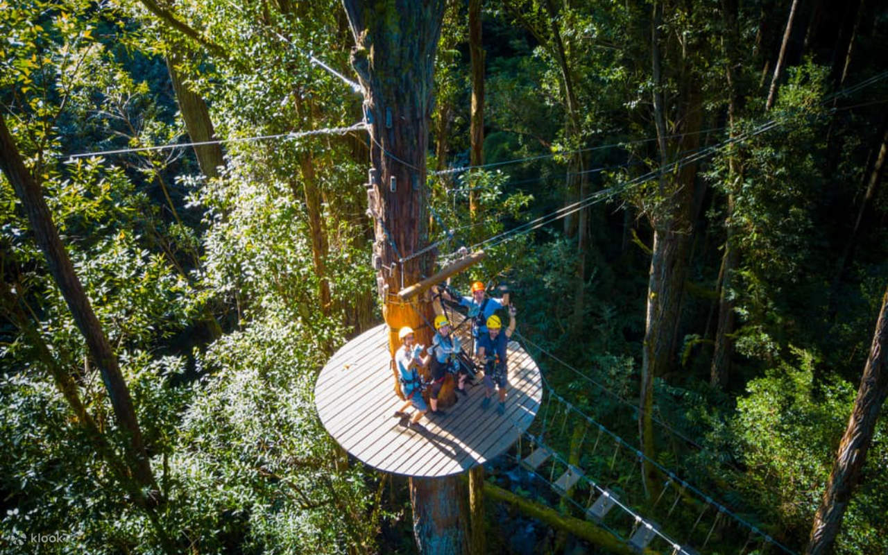 캐노피 위 숨겨진 계곡과 숨 막히는 풍경을 탐험하며 잊을 수 없는 모험의 추억을 만들어 보세요.