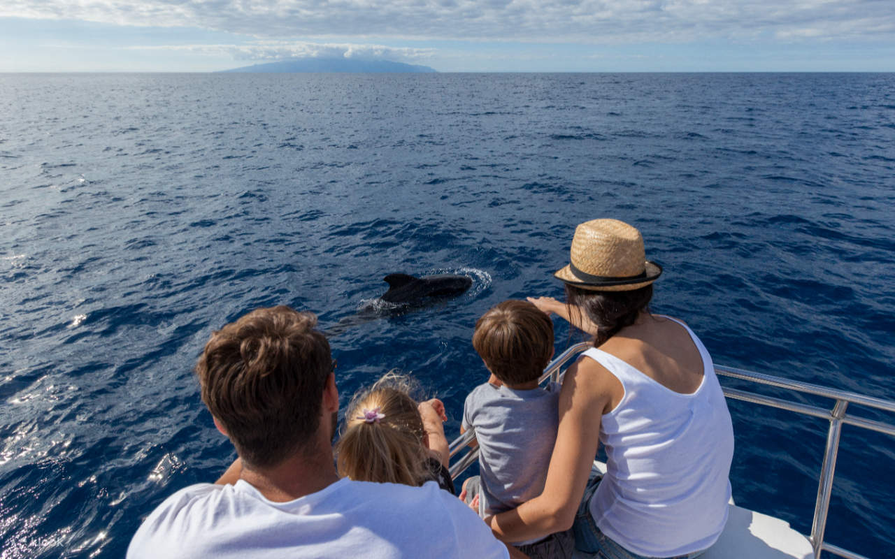 Станьте свидетелем великолепных китов, выныривающих рядом с лодкой, когда синий океан Тенерифе бесконечно простирается.