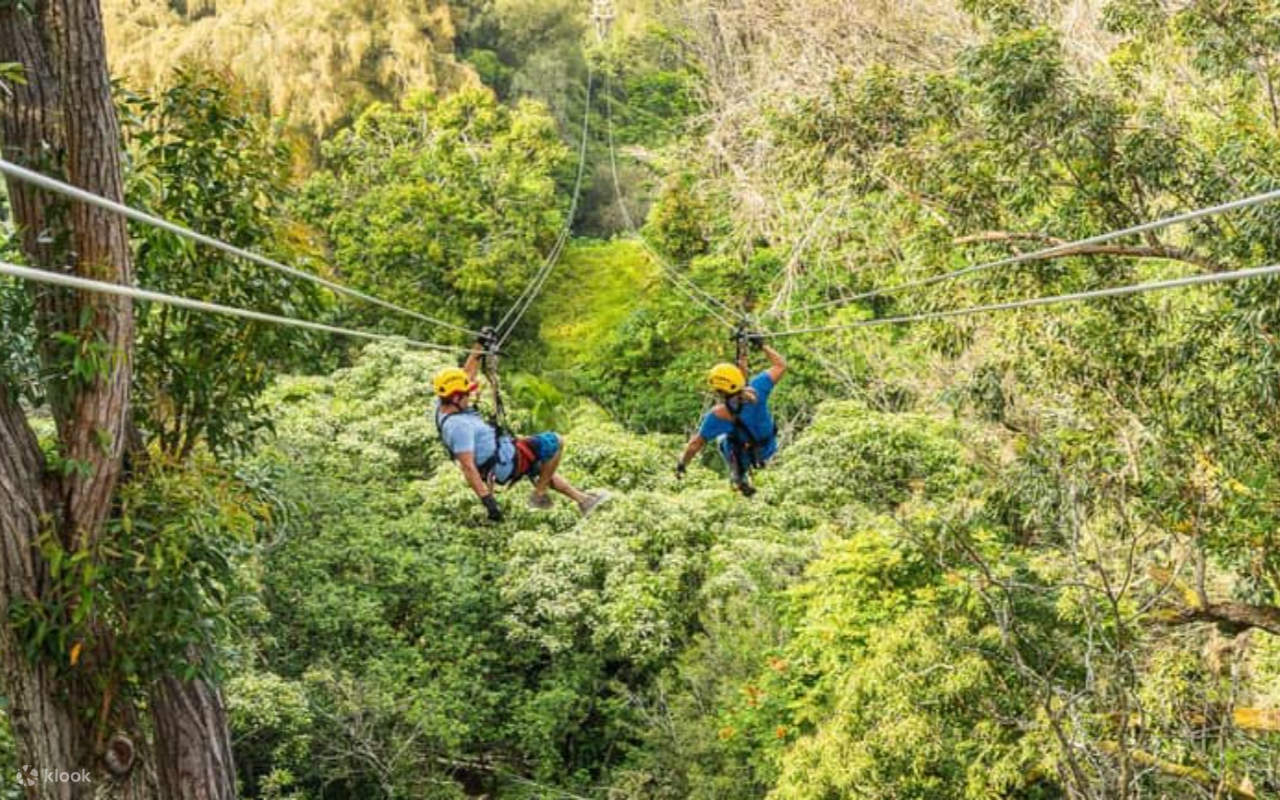 Nikmati keindahan Hawaii saat anda meluncur, mendaki, dan berendam di alam tropis yang masih asli