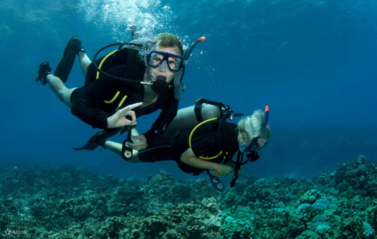 PADI Scuba Diving Course Open Water in 3 Days - Hurghada