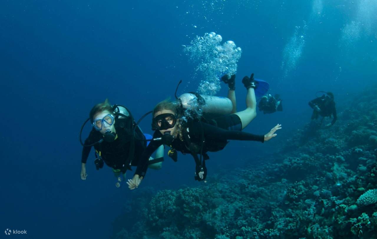 PADI Scuba Diving Course Open Water in 3 Days - Hurghada