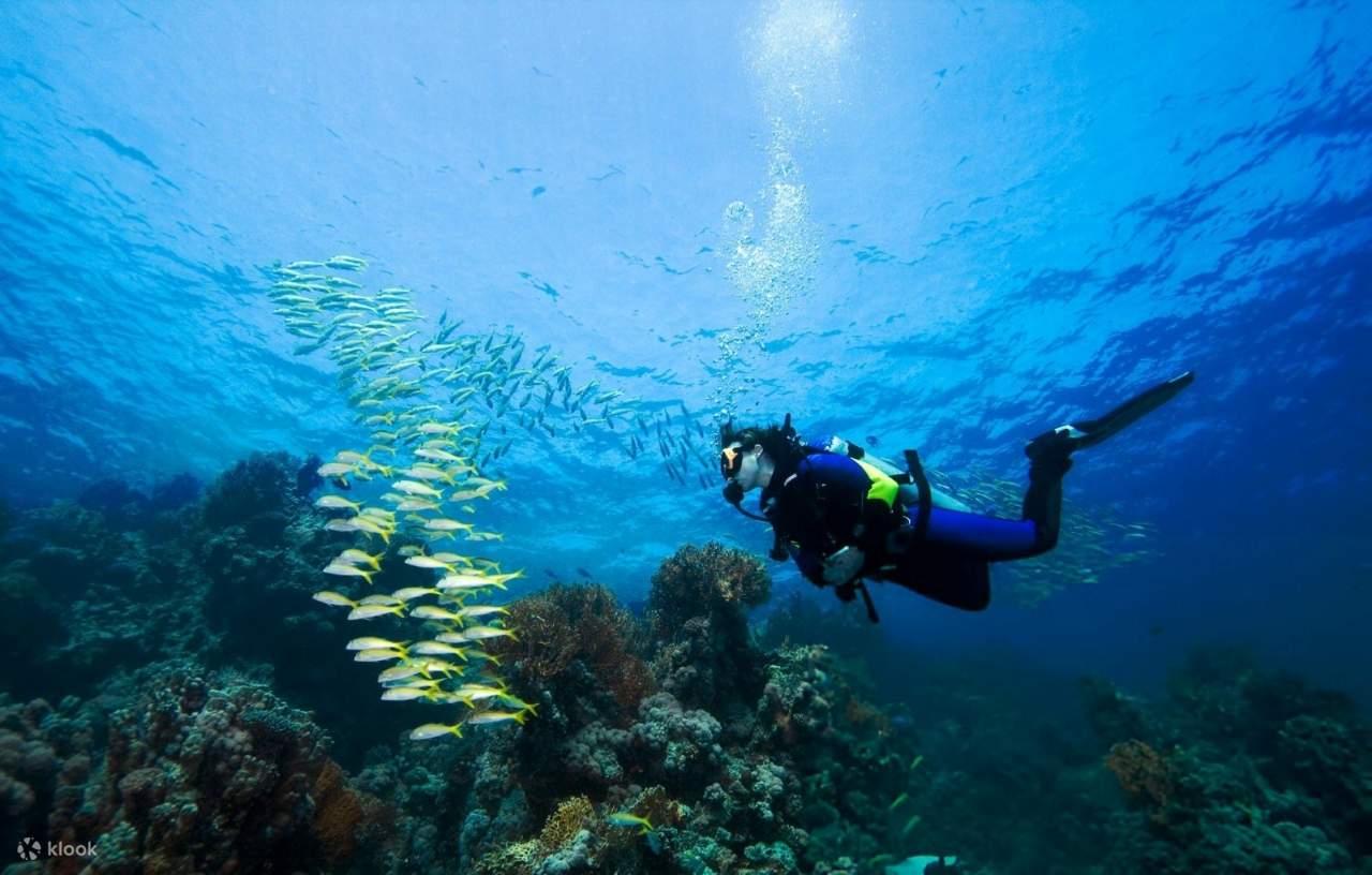 PADI Tauchkurs Open Water in 3 Tagen - Hurghada