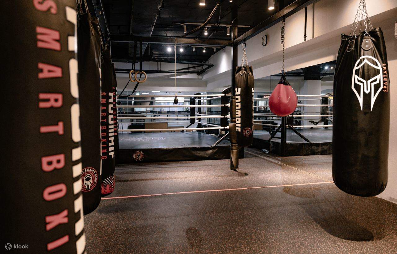 Saco de boxeo sparta best sale