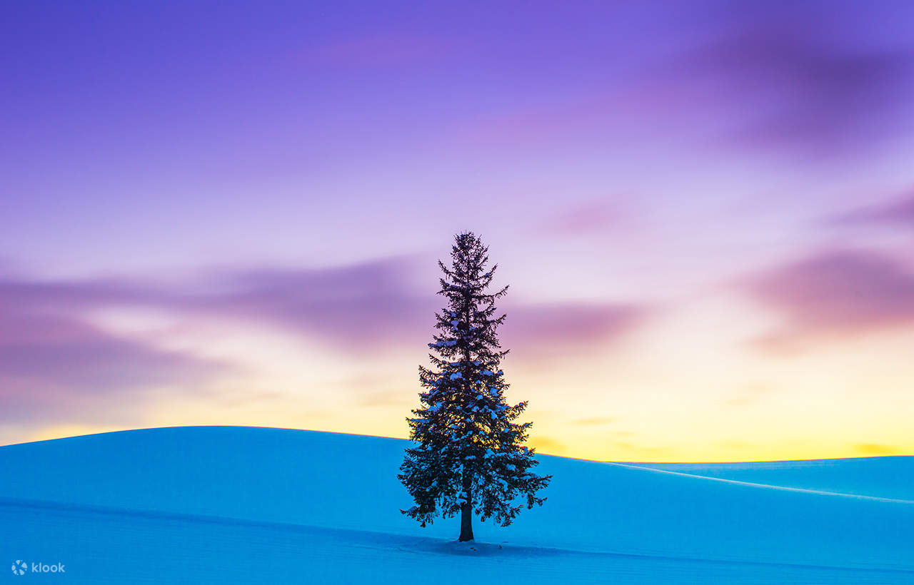 Tur Satu Hari Teras Elf Biei Aoike Kebun Binatang Hokkaido - Klook ...