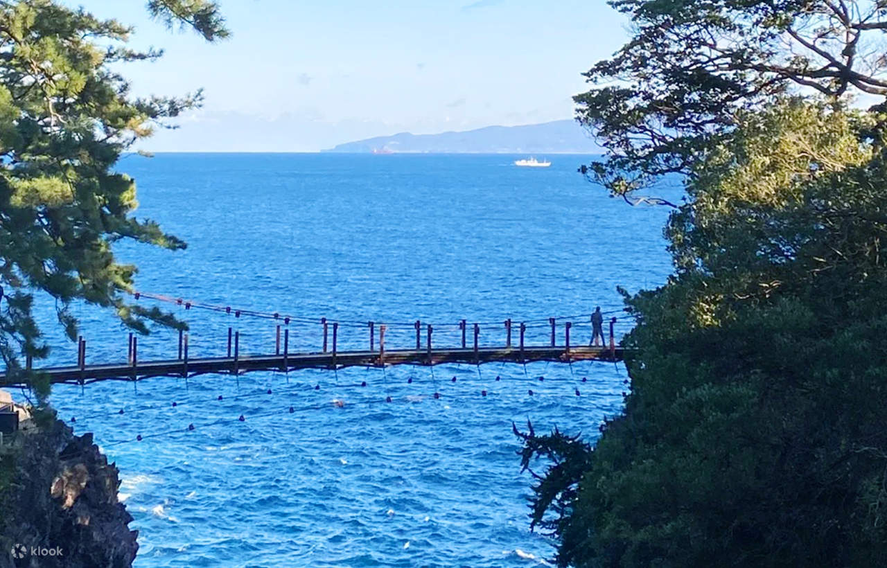 Mount Omuro/Cactus Park & Ocean View Train (with ticket