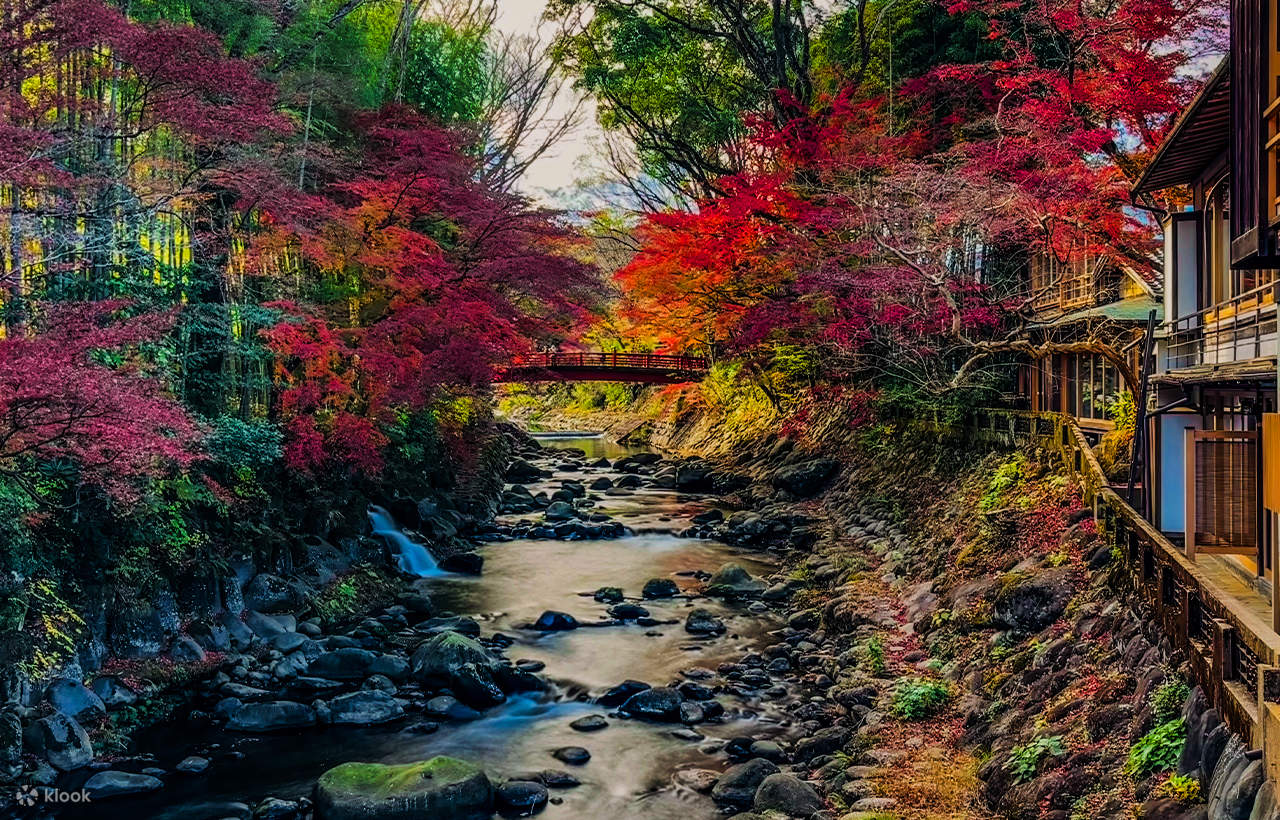 aobouzu daily pot spring SAKURA 鉢 青坊主 5. Shibukusa Ryuzo aobouzu daily pot spring SAKURA 鉢 青坊主 5. Shibukusa Ryuzo