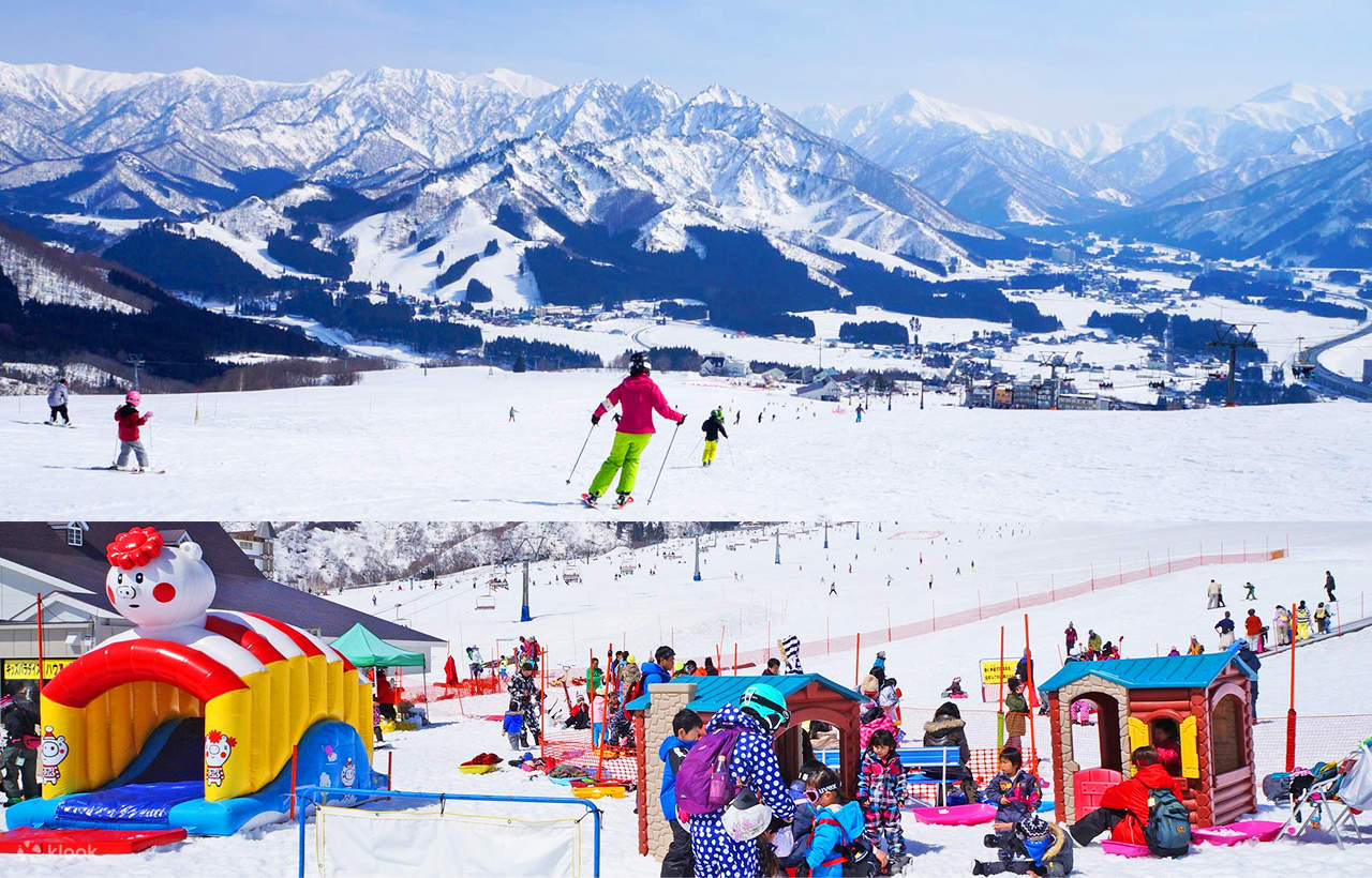 東京発｜越後湯沢 岩原スキー場 雪遊び＆スキー日帰りツアー｜往復交通