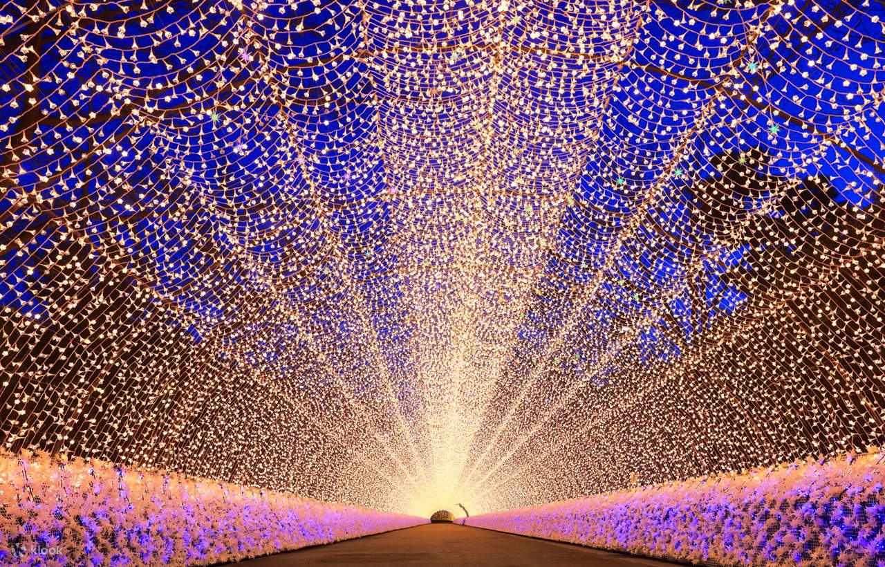 Excursão de um dia ao jardim de luzes de Nabana no Sato e ao Mitsui ...