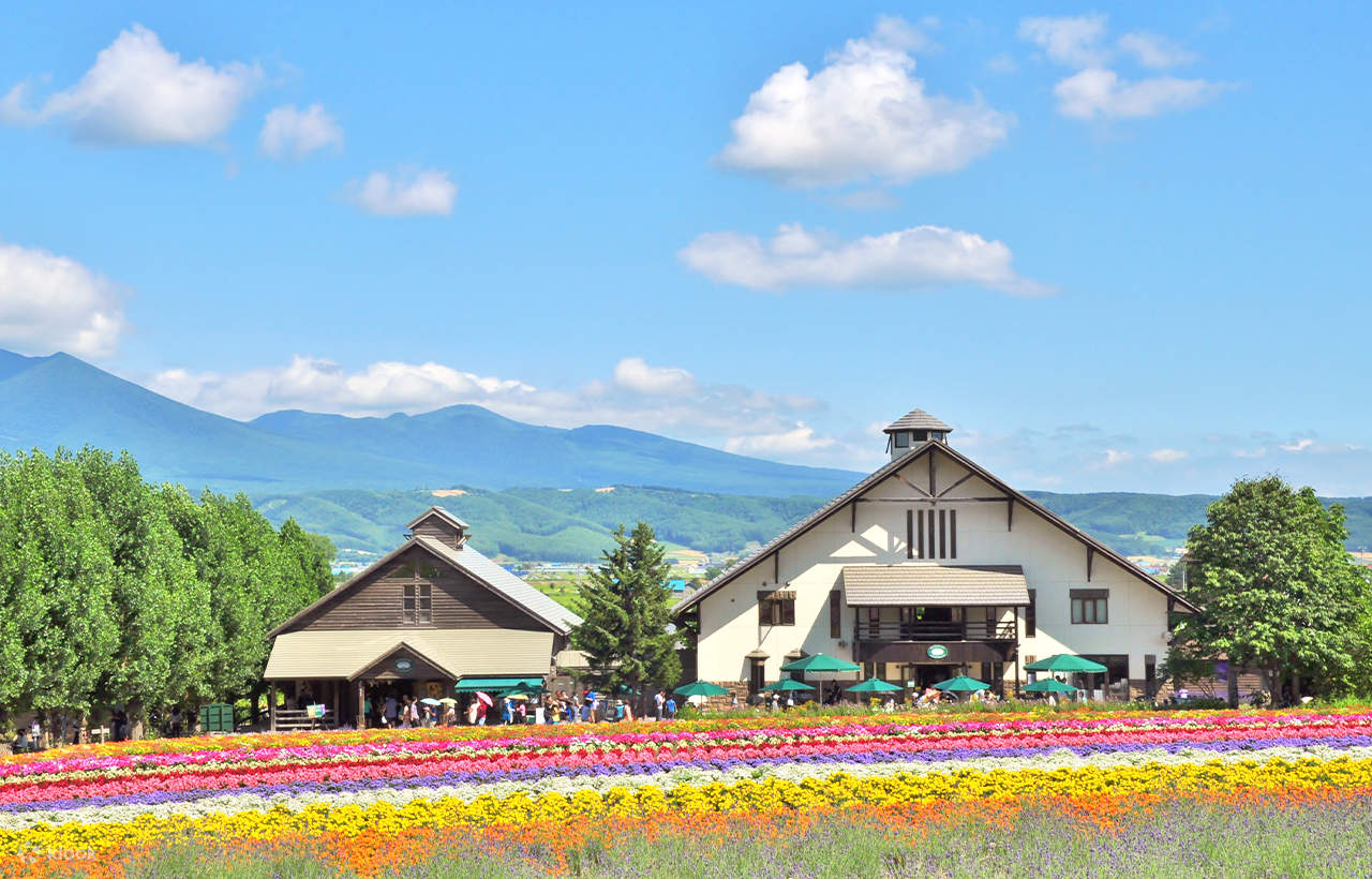 Tur Satu Hari Teras Elf Biei Aoike Kebun Binatang Hokkaido - Klook ...