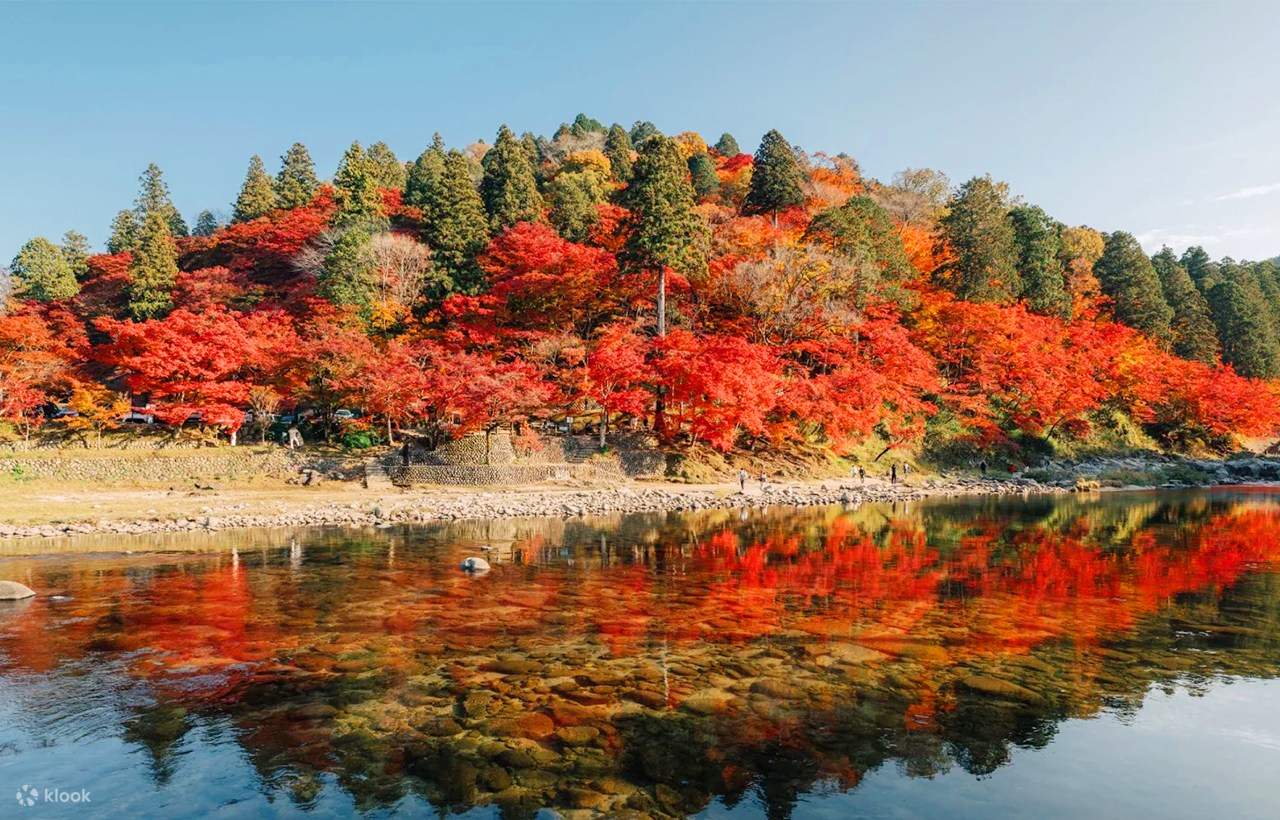 Obara Shikizakura Festival & Korankei & Kokokusan Eihoji Temple Autumn  Leaves Day Trip - Klook United States