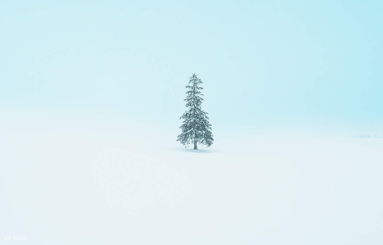 Tur Satu Hari Teras Elf Biei Aoike Kebun Binatang Hokkaido - Klook ...