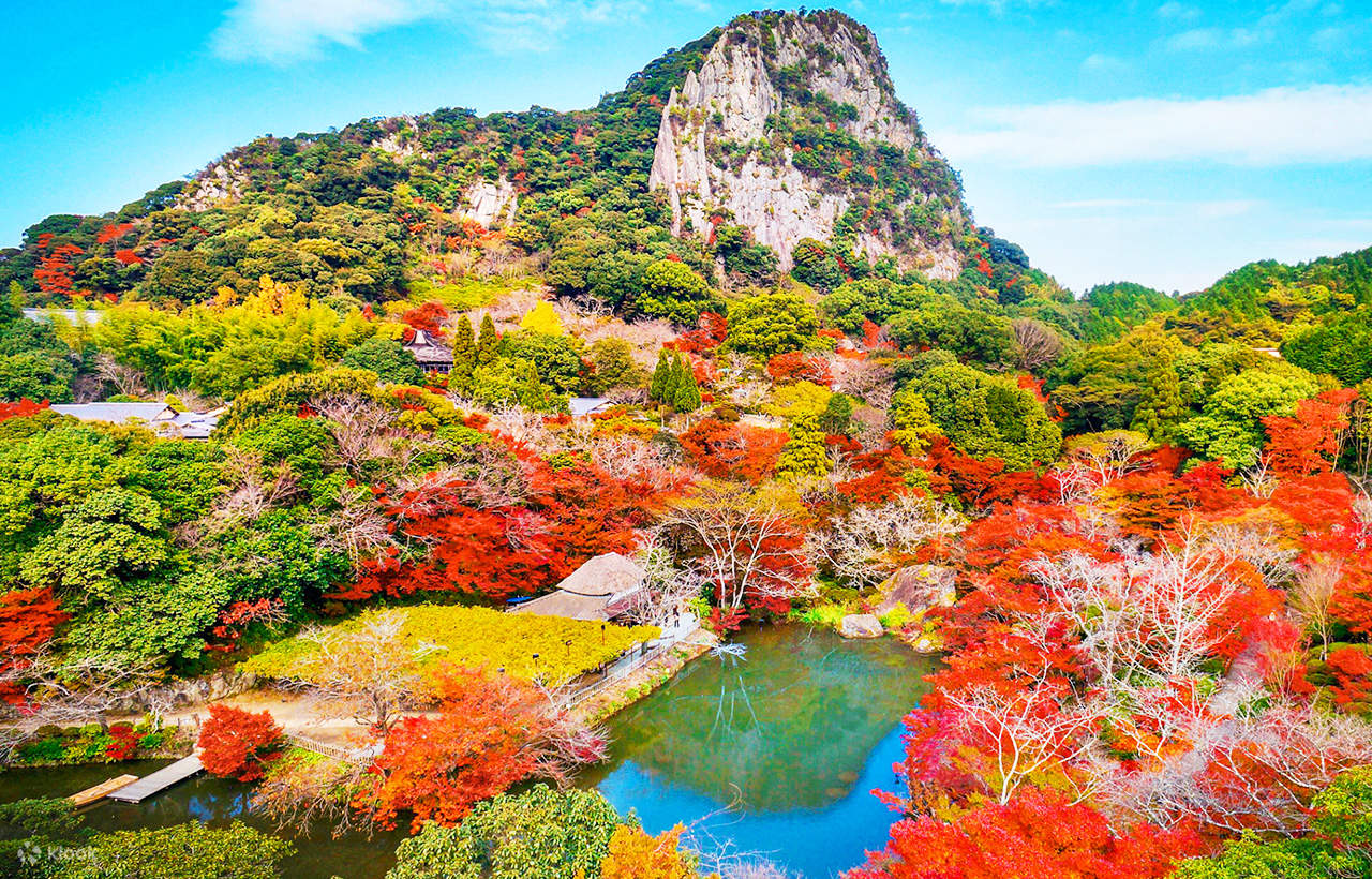 Daikouzenji Temple, Kyunenan, Yoshinogari Station, Mifuneyama Rakuen, and  Yūtoku Inari Shrine Autumn Leaves Viewing Day Trip - Klook United States