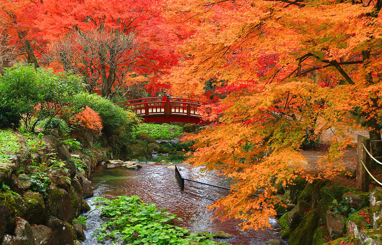 伊豆・熱海：聖地修善寺温泉紅葉狩り 日帰りツアー（東京・新宿