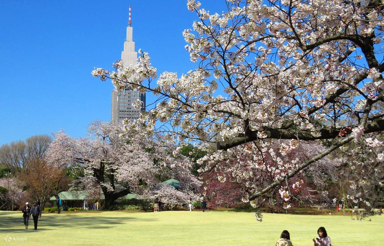 週末を楽しむ東京の花と緑と名所ガイド36コース Tokyo vlog｜Days spent among skyscrapers and fresh greenery
