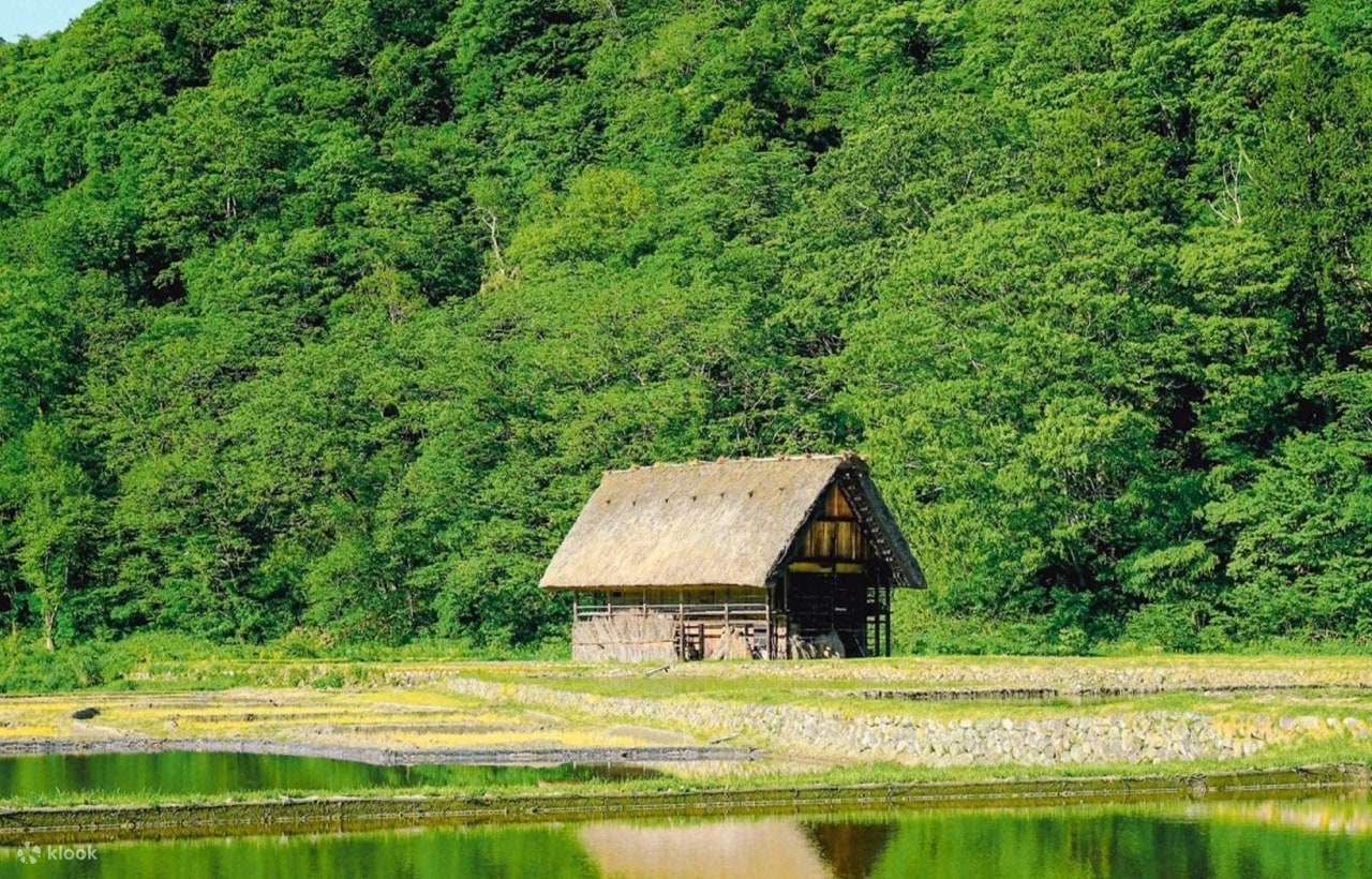 Excursió d'un dia al poble de Shirakawa-go Gassho i Hida Takayama, amb ...
