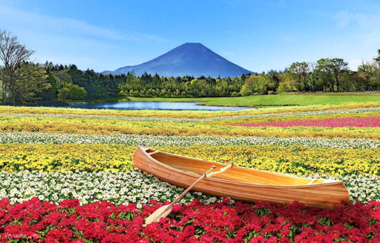 Makaino Ranch พ่อและแม่ลูกภูเขาไฟฟูจิ (รวมตั๋ว) & ทัวร์ Shiraito no ...