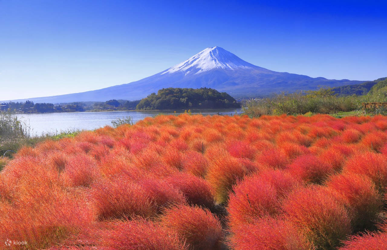 Mount Fuji and Lake Kawaguchi Panoramic Day Trip - Includes Mount Tenjo ...
