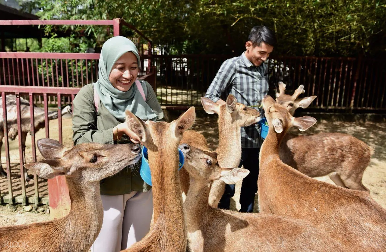 Up To 15 Off Langkawi Wildlife Park Admission Ticket In Malaysia Klook Singapore
