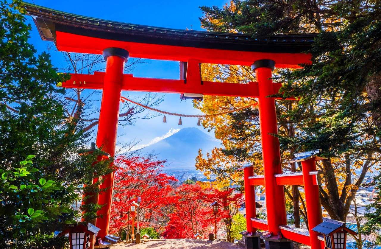 Fujiky 【New Ways to Experience Mount Fuji - Fujikyu Train Experience】Fujikyu ...