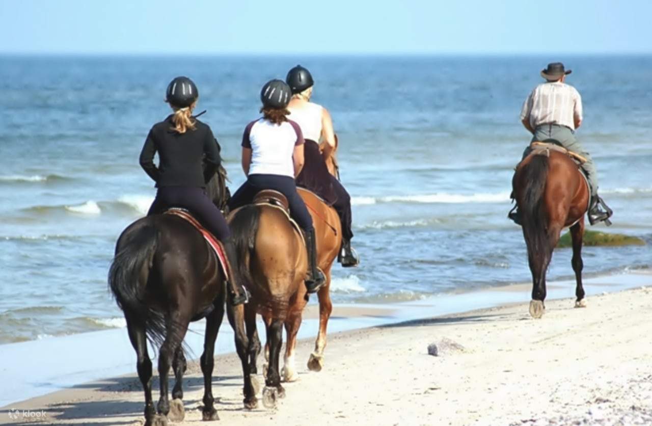 Paseos con tus amigos y familiares