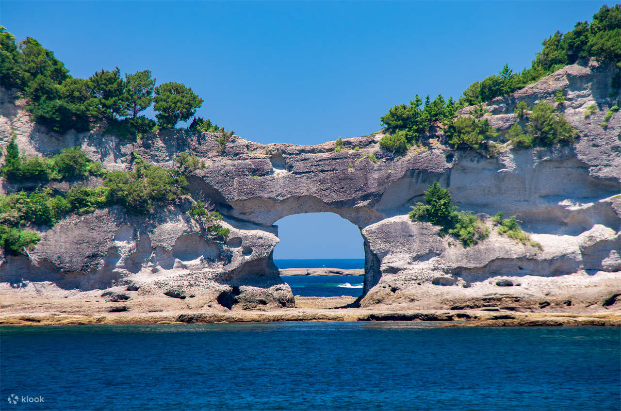和歌山城·纪三井寺·黑潮市场·贵志站猫站长·白滨円月島·千畳敷·三段壁·白良滨·toretore市场·崎之汤二日游|大阪出发 - Klook