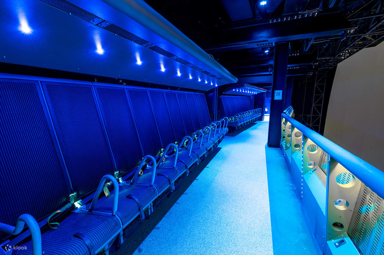 สัมผัสความตื่นเต้นเร้าใจของการเหาะเหินเวหา พร้อมห้อยเท้าเหนือพื้นดิน