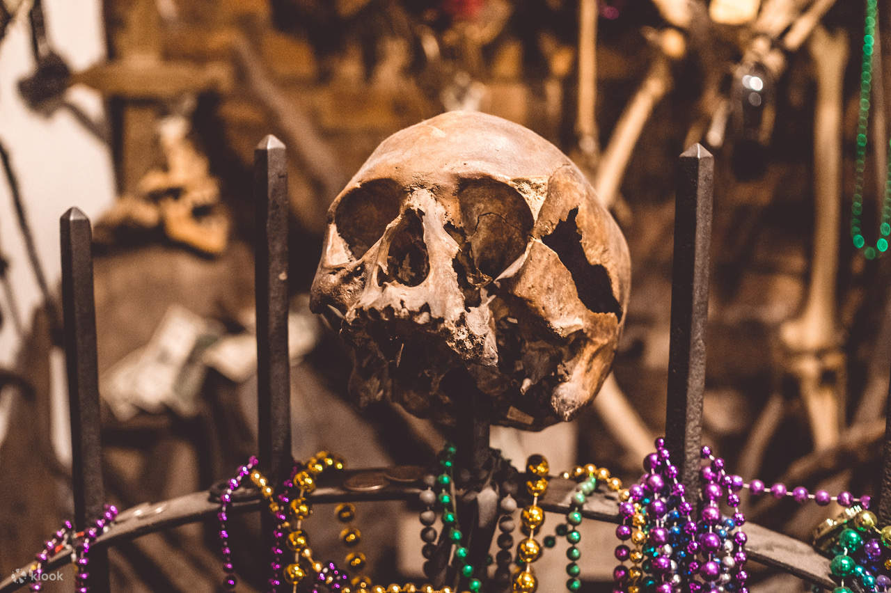 6-i-1 kombinationsresa av New Orleans Ghost Adventures - Klook Sverige