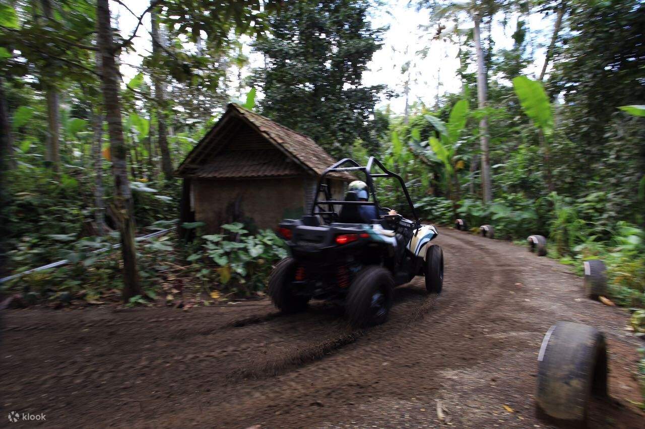 烏布越野車體驗（含激流泛舟／叢林盪鞦韆）